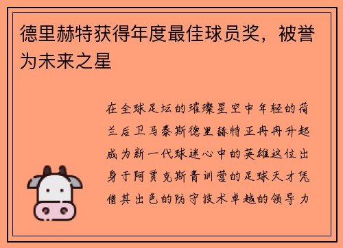 德里赫特获得年度最佳球员奖，被誉为未来之星